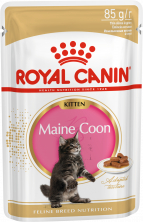 Kitten Maine Coon (в соусе)