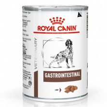 Gastro Intestional Canine
